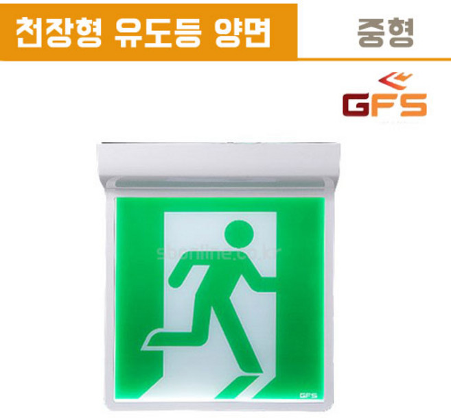 GFS 금성방재 피난구 유도등 천장형 중형 양면, 3.양방향, 1개