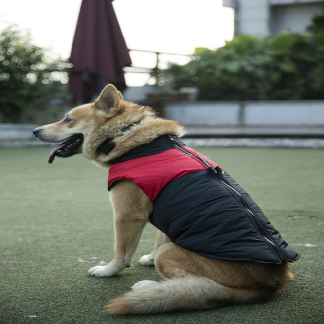 강아지수면조끼 켈리몰 강아지패딩 소형견 중형견 대형견패딩 겨울옷 패딩조끼 강아지방한복 애견패딩조끼 반려견패딩 강아지수면조끼 강아지패딩 소형견패딩 애견패딩 대형견패딩 강아지조끼패딩 중형견패딩, 그린, 1개, ▲▽그린♥?-▲▽XL♥?
