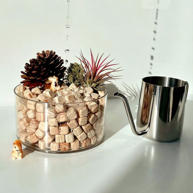 피톤치드 편백 나무 천연 가습기 [2종 자연 기화식 편백나무 큐브 칩 집들이 선물 히노끼 히노키 향], 본품 세트