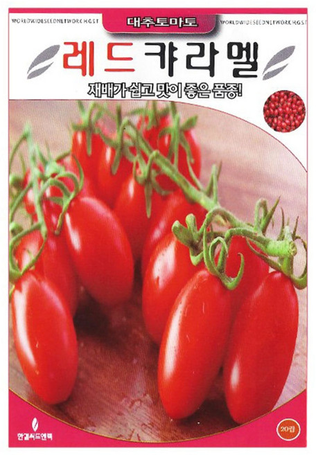 세인화분 레드 대추토마토씨앗 20립 방울토마토 키우기 대추방울토마토 씨앗, 3개
