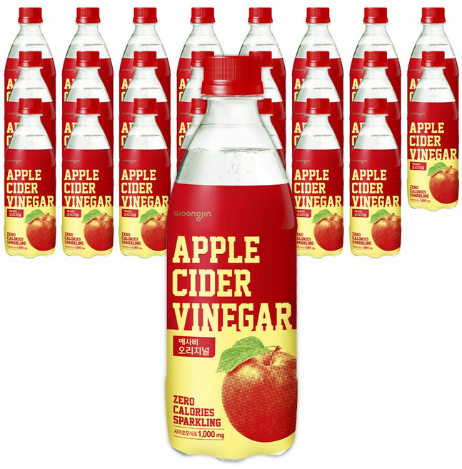 웅진 애사비 오리지널, 500ml, 24개