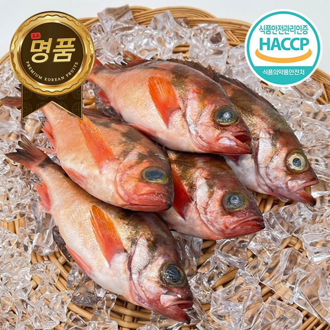 [식약처인증] 손질 급냉 독도 불볼락, 1박스, 1kg(특대 프리미엄 4-5미)