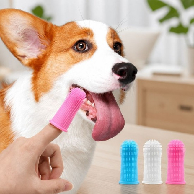 강아지 고양이 실리콘 손가락 칫솔 덴탈 클리너 3컬러 H-00050 강아지칫솔 반려동물칫솔, 블루/ONE