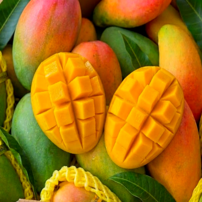 [백화점입점] 브랜드픽 20brix 단독특가 마하차녹 무지개망고, 1박스, 2kg