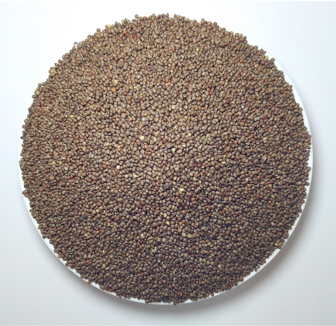 2025년 햇 중국산 흑룡강성 들깨 1kg 국내선별건조, 1개