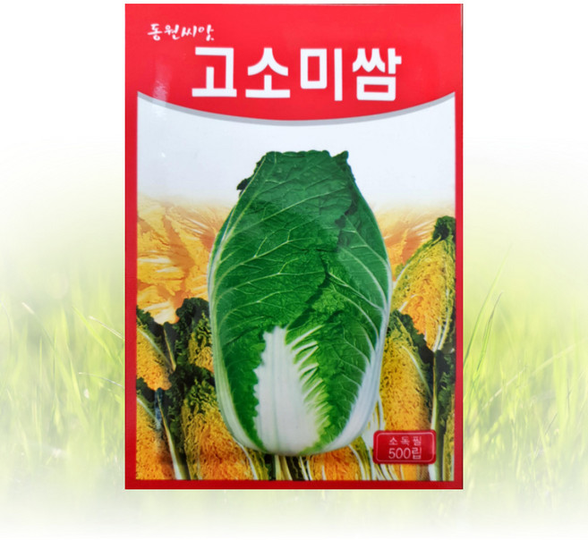 동원 고소미쌈 씨앗 500립 씨 종자 쌈채소 상추 베란다 텃밭, 1개