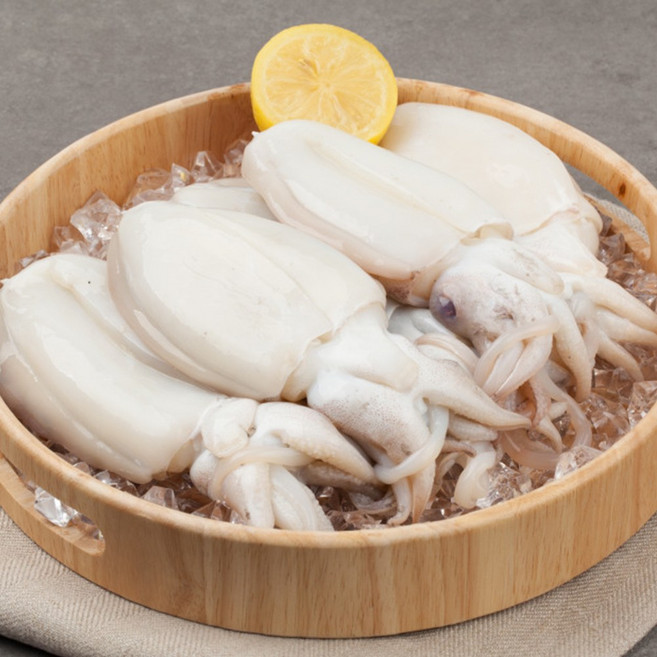 국내산 냉동 손질 갑오징어(대) 자숙 갑오징어, 1박스, 손질갑오징어(대) 1마리(250g내외)