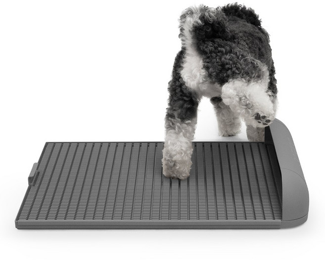 독톡 강아지 배변판 패드필요없음, 실버, 1개