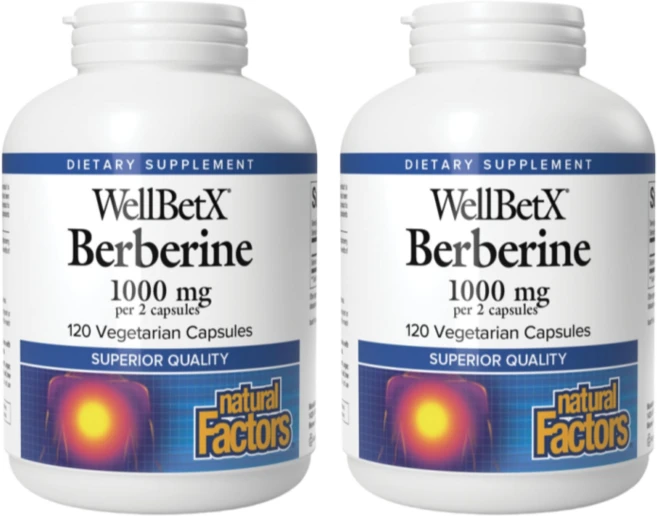 네추럴팩터스 베르베린 500mg 120정 WellBetX 웰벳 2개 - 쿠팡