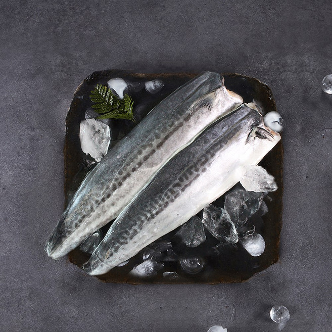[제주직송] 제주 삼치살 왕특, 1kg, 1개, 1kg