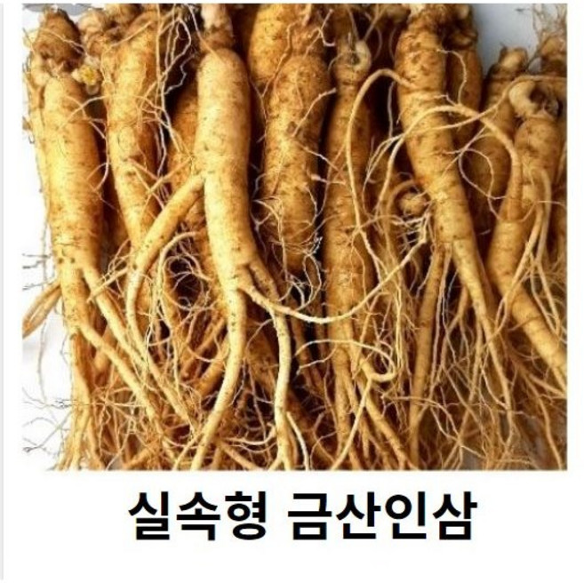 실속형 실속형인삼 국내산 5년근 인삼 실속형 삼계탕용 믹서쥬스용 꿀절임용, 1개
