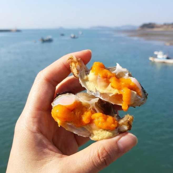제철 알배기 암꽃게 급냉 신진도 연평도 꽃게 서해 암게 알베기, 1개, 1kg