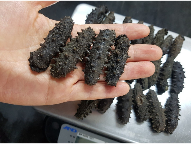 국산 남해바다 자숙해삼(사이즈 소 중), 국산자숙250g/중/15미내외, 1개