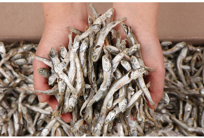 [바다채움]대멸치(국물내기용), 1kg, 1개