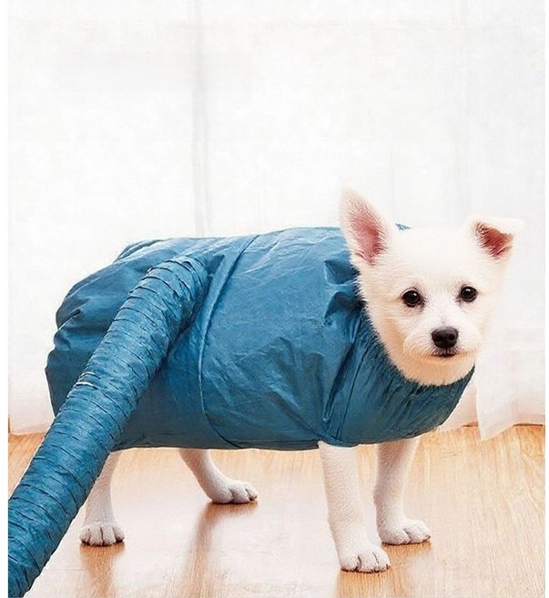 위피 펫 드라이슈트 드라이룸 강아지 고양이 목욕, 1개, 블루M(5~10kg)