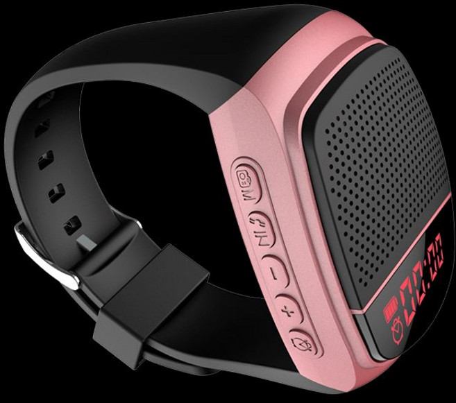 LG 엑스붐GO 무선 휴대용 PL2 강력한, B90 표시 장식 장미 금색 리더기, 패키지 21 32G 이야기 2328곡