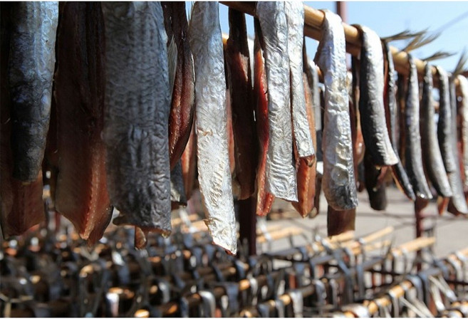 포항 구룡포 영덕 반손질과메기(껍질있음) 청어(1k500g)/꽁치(850g) 과메기, 1개, 청어반손질40미