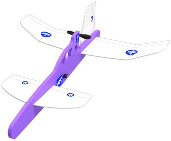 대회용 카나드 전동글라이더 쌩쌩