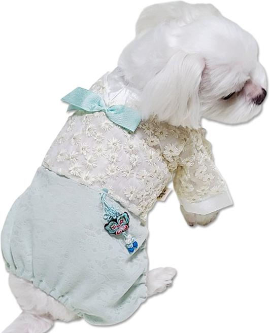 강아지한복 꽃도령 꽃낭자 고양이한복, 올인원-민트