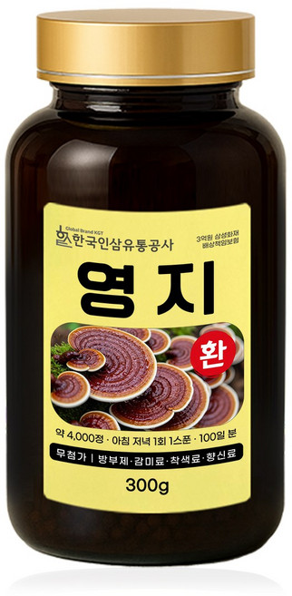 영지환 국산 영지버섯 건강 환 효능 300g, 1개