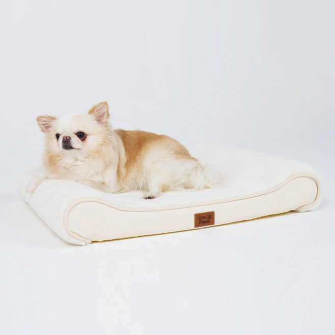위드포즈 척추 침대 강아지 고양이 슬개골 보호 방석 매트리스, 1개, 아이보리