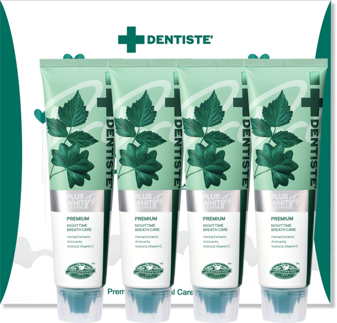 덴티스테 4P 선물세트 플러스화이트 프로 치약 100g 4개 (쇼핑백 증정)