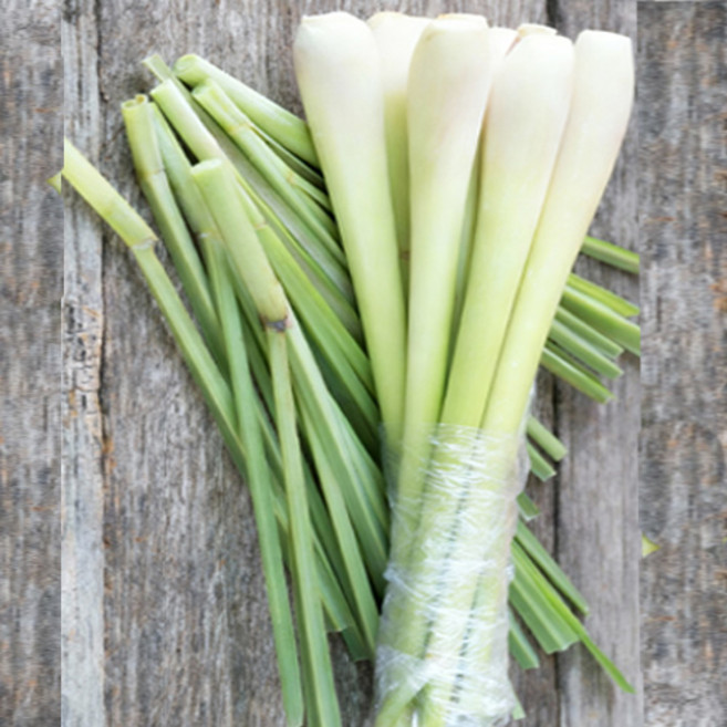 Thomy 베트남 생 레몬그라스, 1kg, 1개