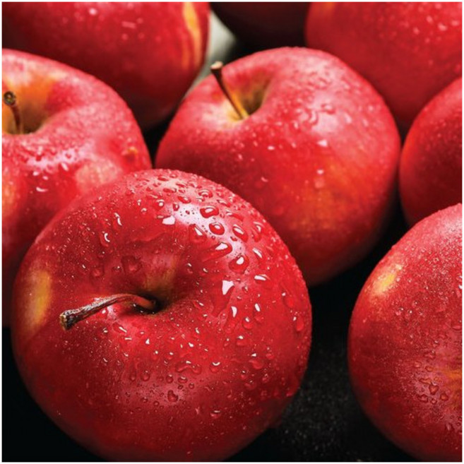 [신선과일] 중대과 경북 햇 부사 사과 9kg (30-39과) 가정용, 1개