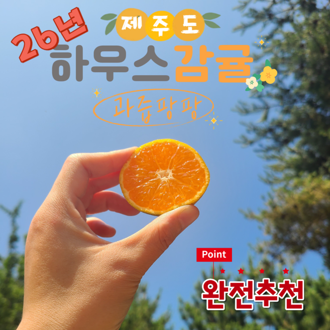 제주도토박이가 잘키운 하우스감귤 제주도 귤, 1개, 하우스감귤2kg중품(2S-S)