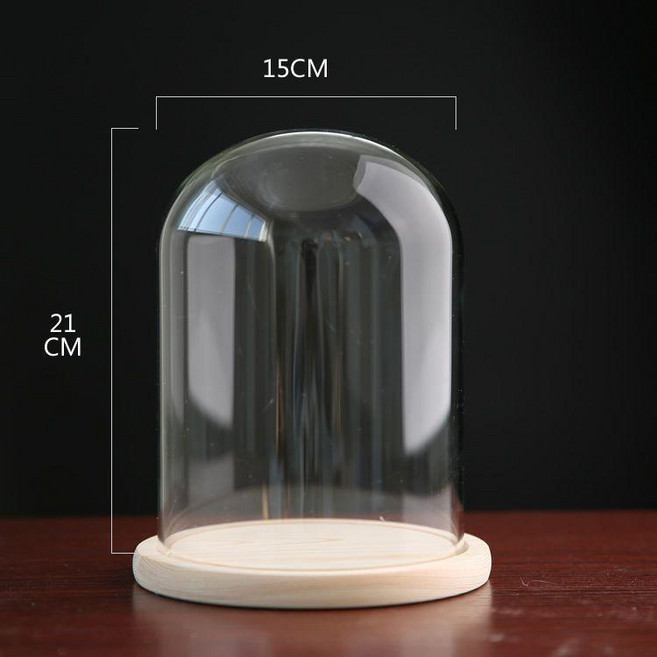 圓球玻璃罩 15cm 原木底座, 15*21原木底座