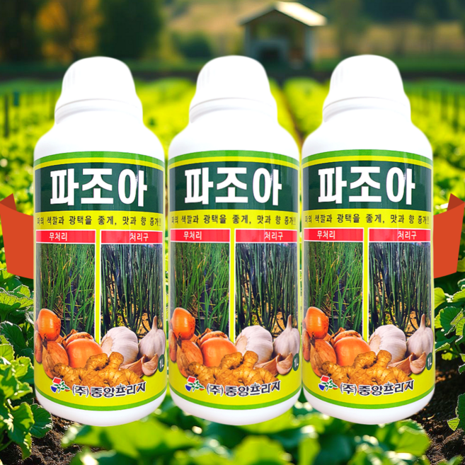 대파 영양제 비료 파 쪽파 대파전용 파전용 쪽파전용 마늘 양파 생강 대파 잎마름 잎끝마름에 집 대파키우기 텃밭 파조아, 3개, 1L