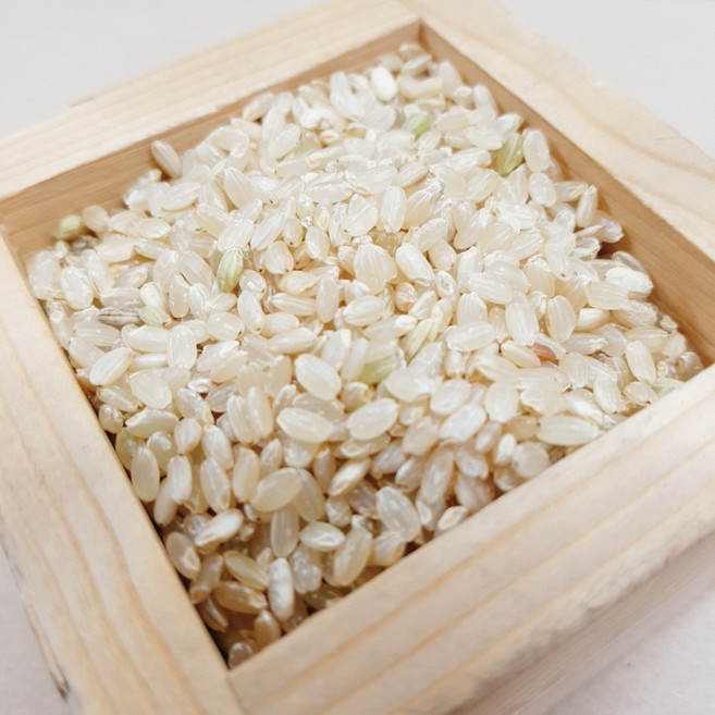 50년전통대현상회 프리미엄 잡곡 혼합곡 37종 찹쌀 현미 녹미 블랙보리 퀴노아 병아리콩, 1개, 리필 현미 1kg