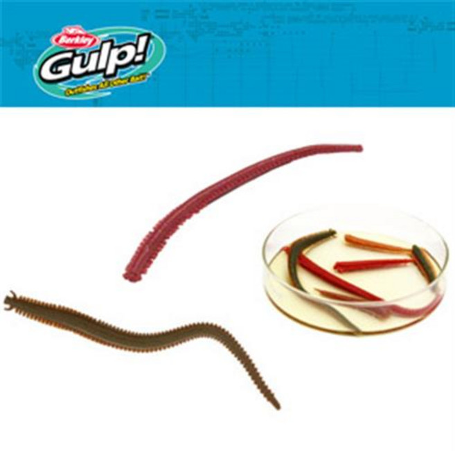 걸프 샌드웜 6인치 지렁이 웜 볼락윙 아징 풀치, C [1109381], 1개