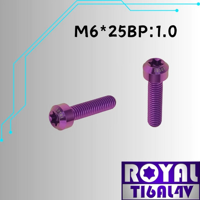 ROYAL 鈦合金螺絲 M6*25B P:1.0, 1個