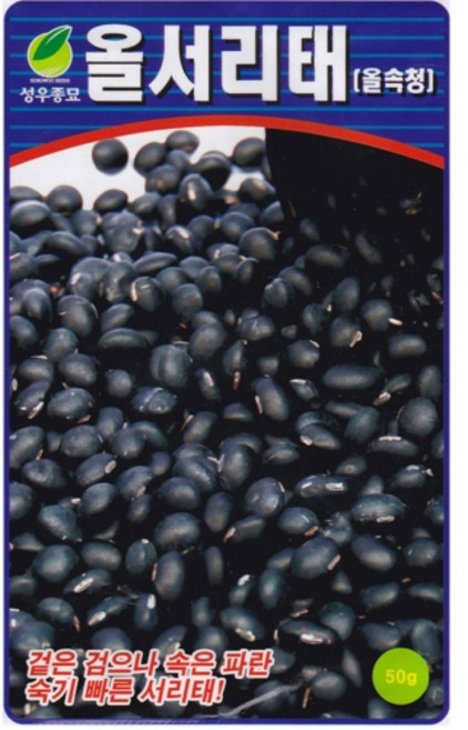 영농사 서리태콩 씨앗 (50g) 조중생종 검은콩씨, 4개, 서리태콩씨앗 50g