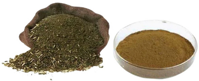 마테차 농축 추출물, 1개, 500g