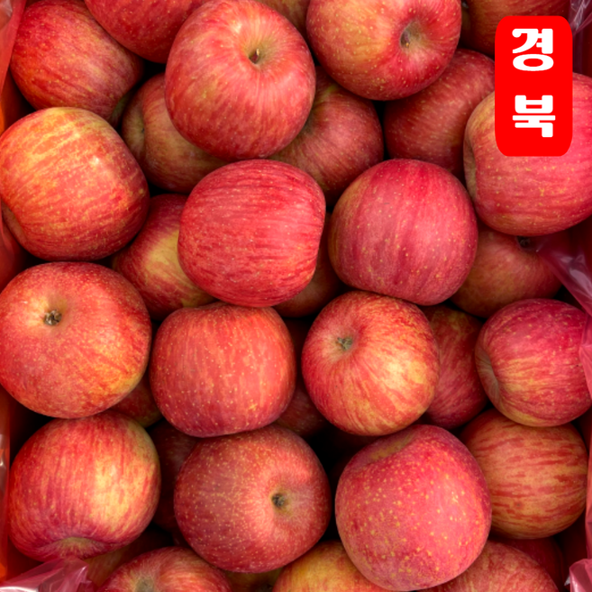 하루딱100박스 한정초특가 고당도 부사 꿀 사과, 1개, 2kg