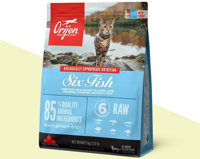 [오리젠] 식스피쉬 캣 1kg 전연령 단백질, 정어리, 1개