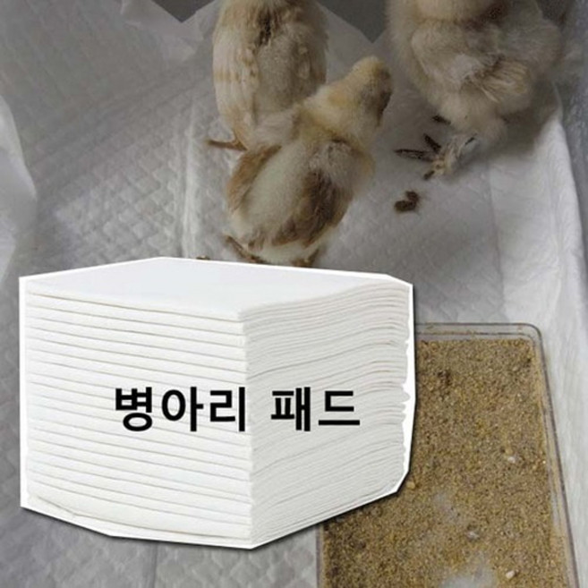 병아리용 패드, 50개
