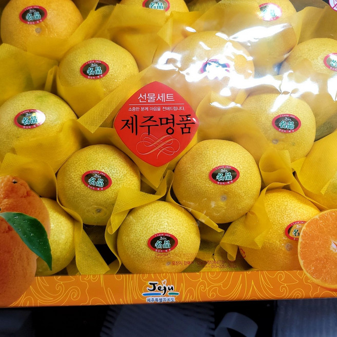 제주 황금향 선물세트 대과 / 2.5kg (8-13과)_WCCBDE4 ste5523ry