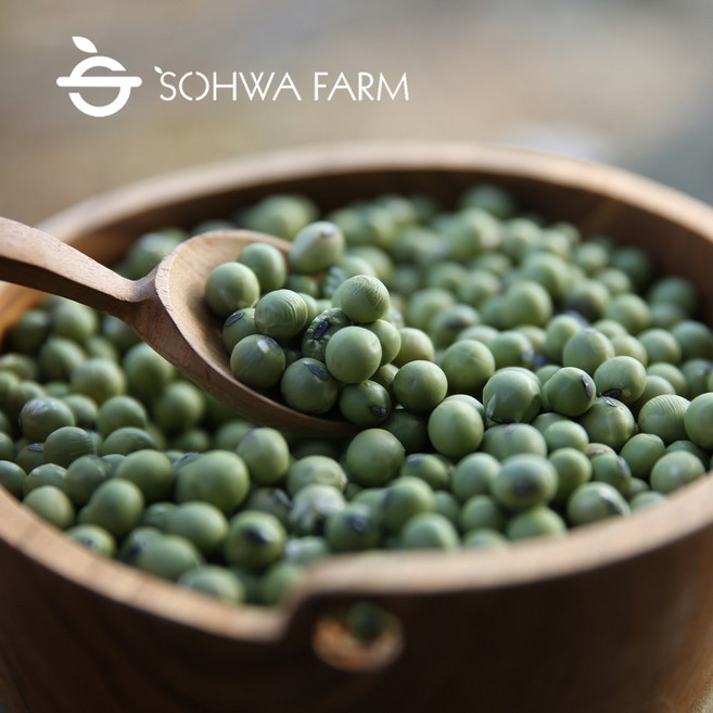 2025년 국산 청태콩 푸르데콩 청서리태 청콩, 1kg, 1개