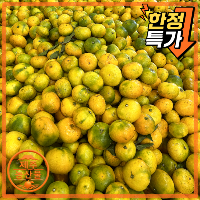 [제주올팜] 고당도 제주 감귤 귤 밀감 가성비, 1개, 10kg 중대과 (L-2L)