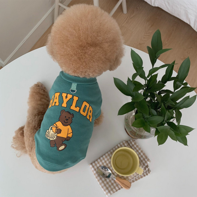 台灣發貨 寵物親子裝 父子裝 寵物親子裝 春秋服飾 狗衣服 中小型犬, 1個, 227C藍綠BAYLOR熊,S(胸圍35cm 3-5斤), 227C藍綠BAYLOR熊