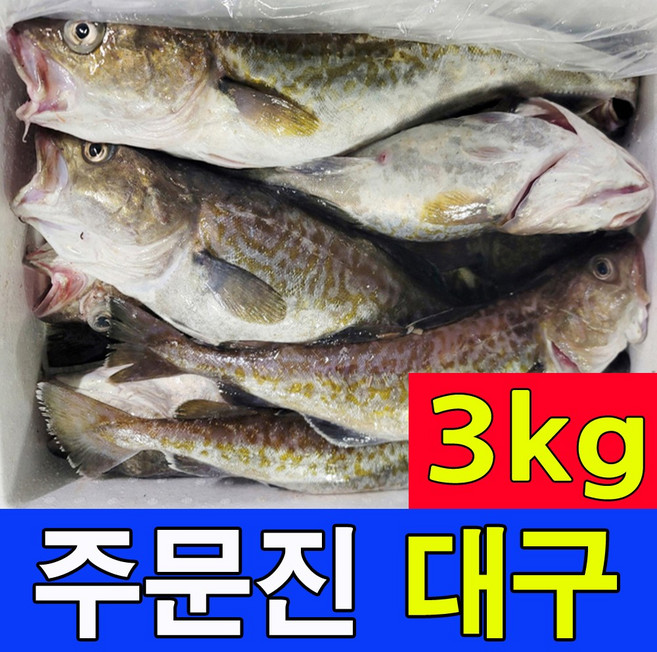 주문진 국내산 생대구 3kg를 신선도 유지를 위해 급속냉동하여 발송 2~5마리 품질좋은 생대구만 선별, 1세트, 3kg