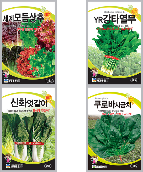 세계 모듬 상추 엇갈이배추 열무 시금치 텃밭 채소 씨앗 4종 세트, 1개