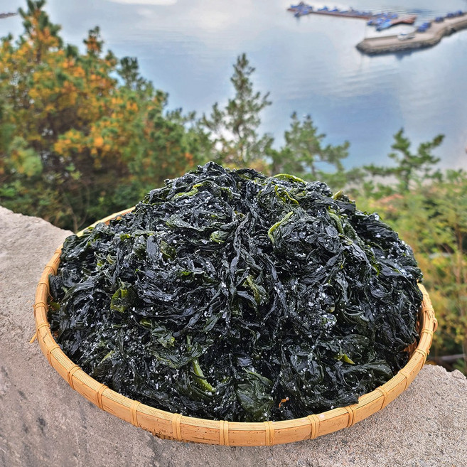 완도 유기농 햇미역 염장 산모 물 미역, 5kg, 1개
