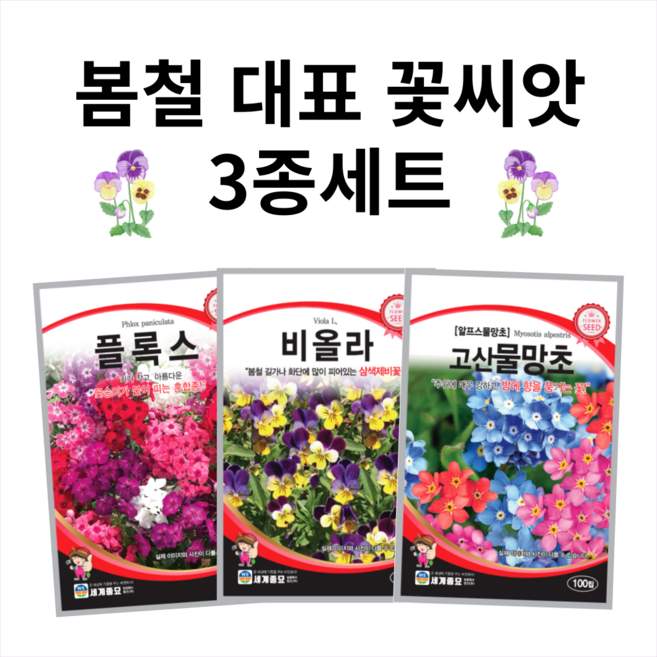 [주주씨앗] 봄철 대표 꽃씨 3종세트 비올라 플록스 물망초 종자 꽃씨앗 꽃씨몰 봄 파종 작물, 1개