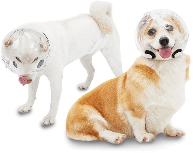 강아지 고양이 입마개 반려동물 물림방지 투명 헬멧 우주헬멧, 1개