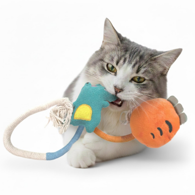 테일즈락 면끈 고양이 이갈이 장난감 스트레스 해소, 1세트, 악어당그니