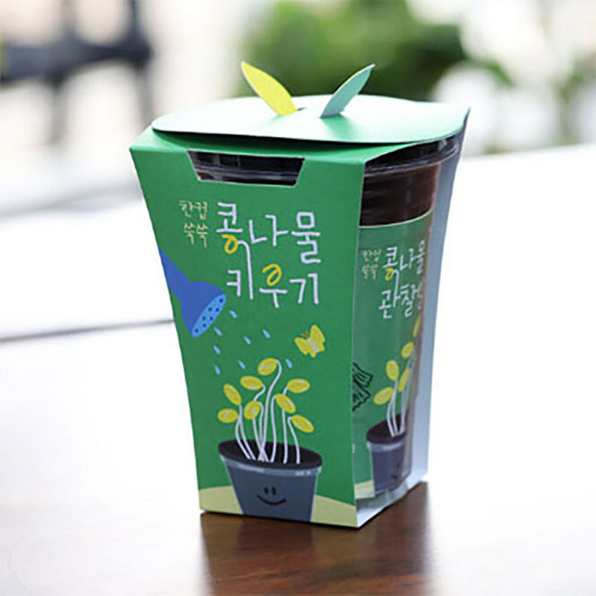 새싹키트 시루 관찰일지 재배 한컵쑥쑥 콩나물키우기, 단일속성, 1개, 상세페이지 참조